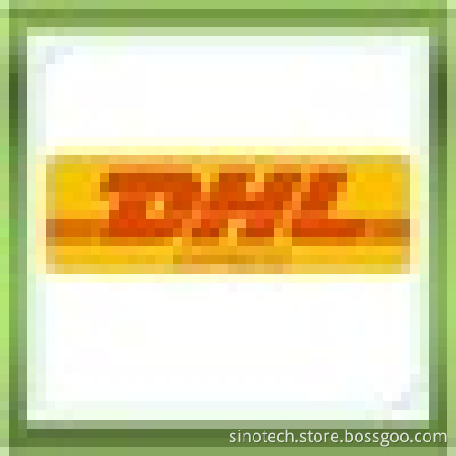 DHL exrepss to Denmark